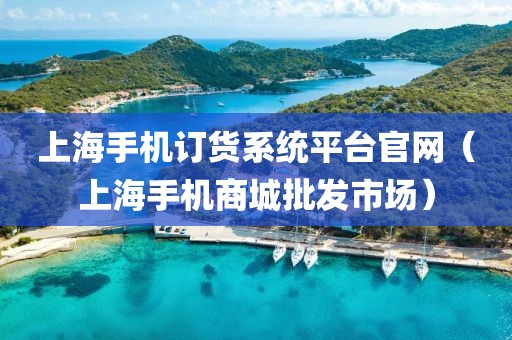 上海手机订货系统平台官网（上海手机商城批发市场）