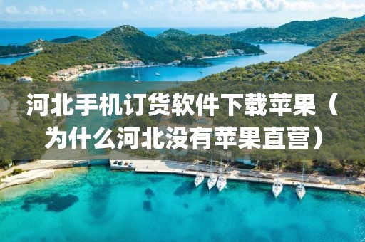 河北手机订货软件下载苹果（为什么河北没有苹果直营）